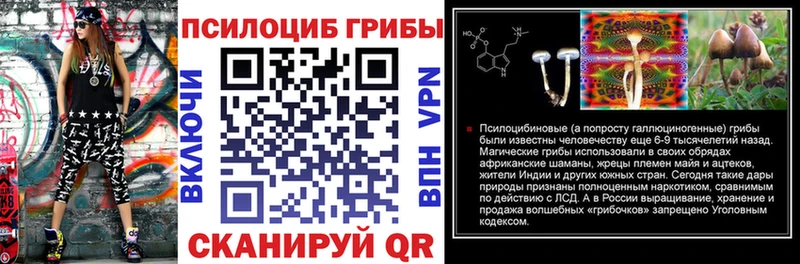 купить закладку Дедовск Псилоцибиновые грибы мицелий