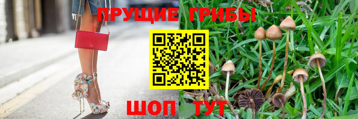 Галлюциногенные грибы прущие грибы  Вход с VPN  где продают   Дедовск 
