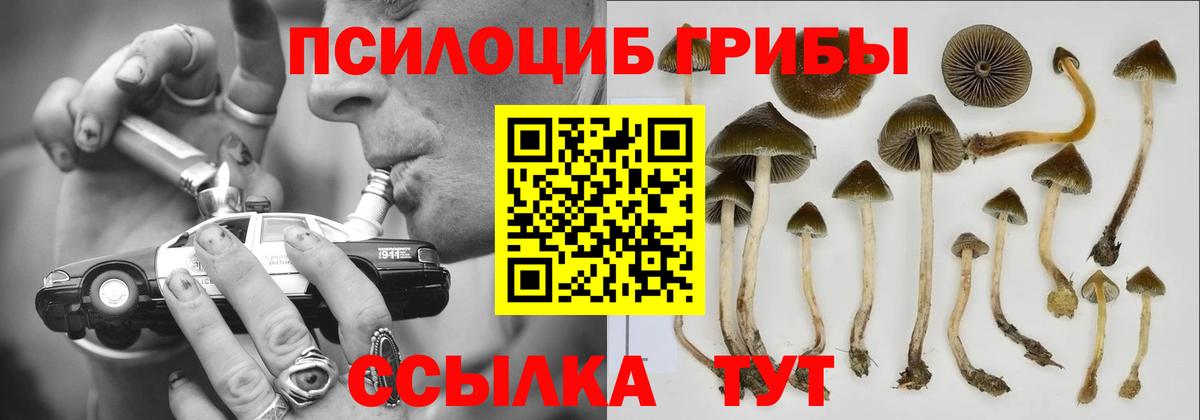 Псилоцибиновые грибы мухоморы Дедовск