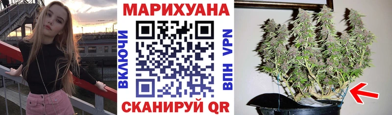 Канабис план Дедовск